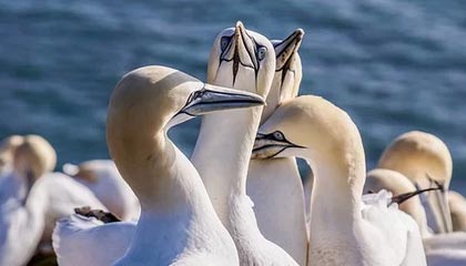 黔西最新的高价医保卡惠民保险代扣怎么取消掉了方法分享(黔西惠民医保怎么报销教程)