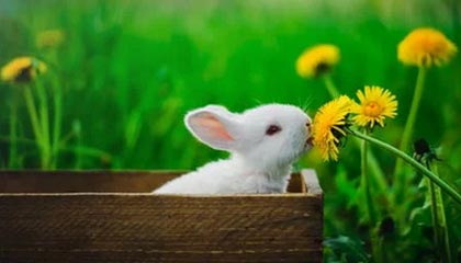 黔西最新的高价医保个人账户余额微信查询方法分享(黔西医保查询个人账户明细怎么查微信教程)